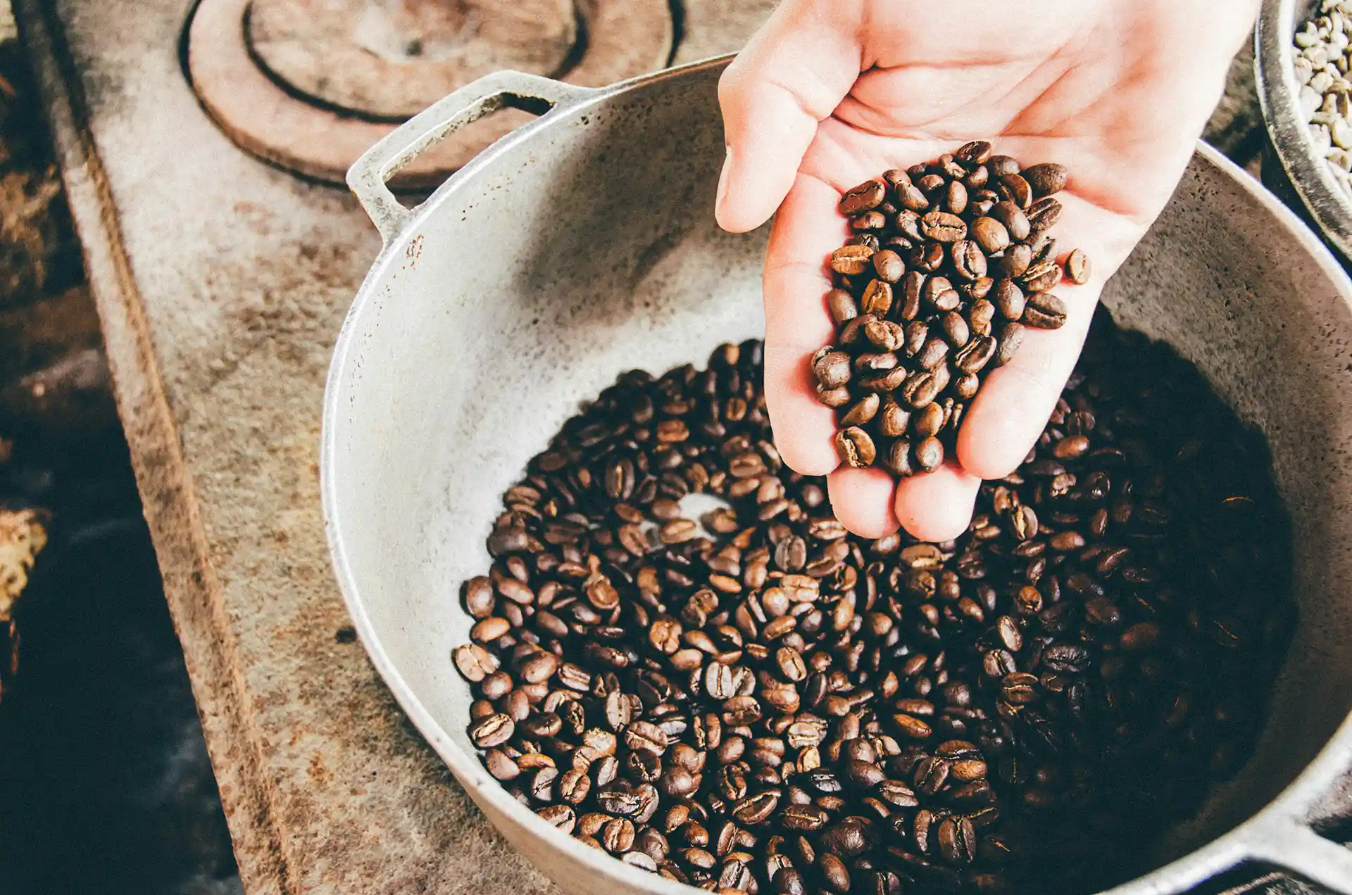 Grains de café de spécialité fraîchement torréfiés en Colombie