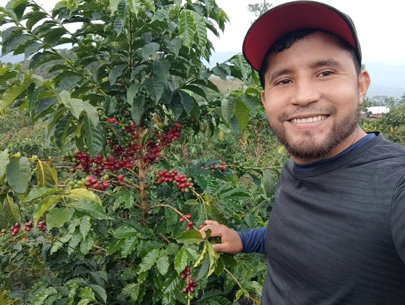 Portrait producteur café Colombie